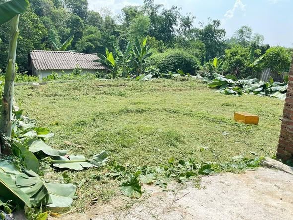 TOÀN BỘ LÀ ĐẤT Ở THUỘC TÔ 1 NGỌC XUÂN. Ô TÔ ĐỖ ĐẤT