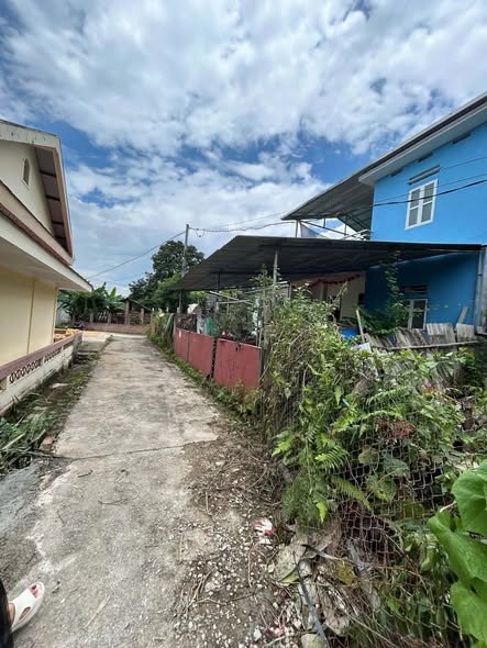 TOÀN BỘ LÀ ĐẤT Ở THUỘC TÔ 1 NGỌC XUÂN. Ô TÔ ĐỖ ĐẤT