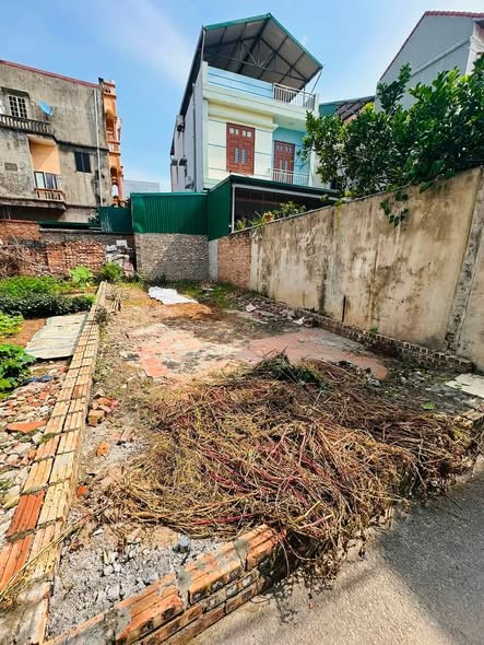 🔥 60M² NỘI TRÌ, TỪ SƠN, BẮC NINH - ĐƯỜNG THÔNG Ô TÔ NHỎ - NHỈNH 2 TỶ - Ảnh 1