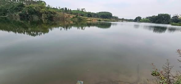 ⛔️Bán nhanh Siêu phẩm nghỉ dưỡng hàng VÍP đất vườn view Hồ sông sỏi cực đẹp! Đất như hình ạ .Gần với đường quy hoạch kết nối vùng - Ảnh 1