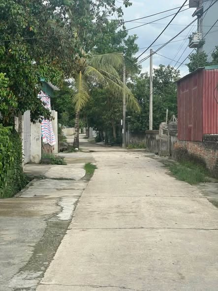 🏡 Chính chủ gửi bán căn nhà cấp 4 giá mềm tại thôn Việt Yên - xã Thanh Yên - Ảnh 3
