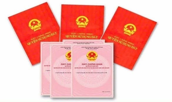 🏕️ BÁN NHÀ CẤP 4 MỚI TINH. - Ảnh 2