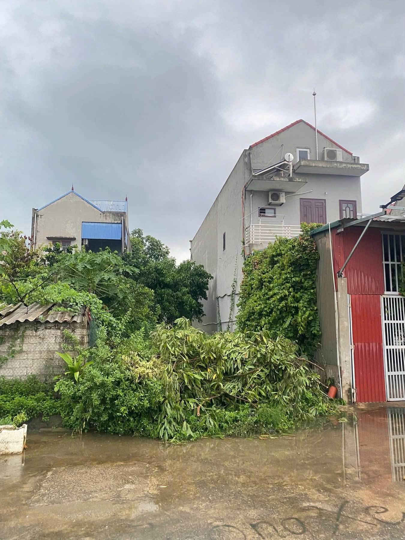 🏡 BÁN ĐẤT 2 MẶT TIỀN – KHU 5, THỊ TRẤN HẬU LỘC, THANH HÓA - Ảnh 1