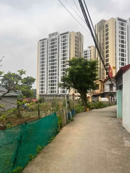 BÁN MẢNH ĐẤT ĐẸP NHẤT PHƯỜNG ĐÔNG KINH - Ảnh 2