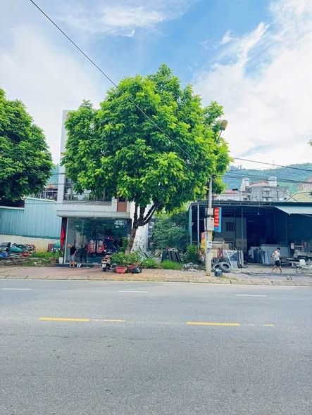 BÁN ĐẤT HOÀNG LIÊN KÉO DÀI - Ảnh 1