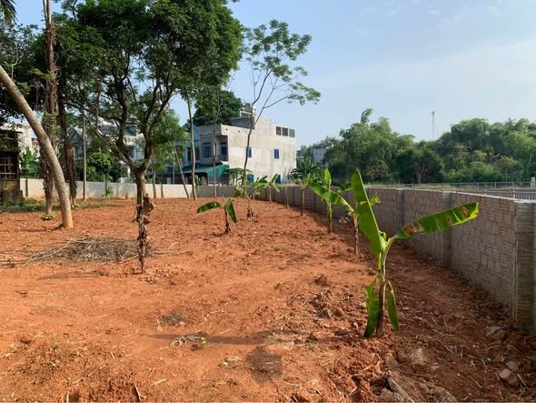 Bán đất TDP 7 An Tường. Vị trí cách đường Lê Đại Hành 100m, sát hồ Trung Việt.