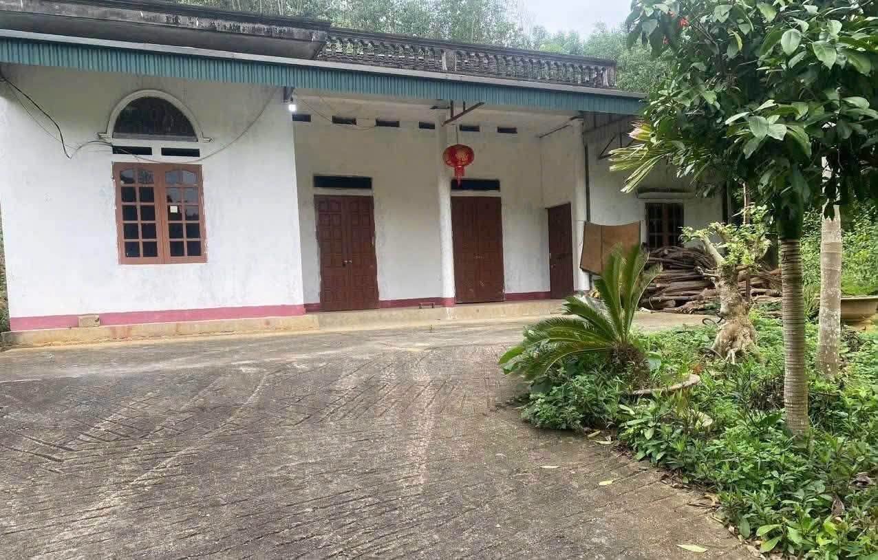 Hơn 1 Tỷ chút 🌹Cần bán gấp Cả nhà Ao cá và đất. Diện tích 7.500m . - Ảnh 2