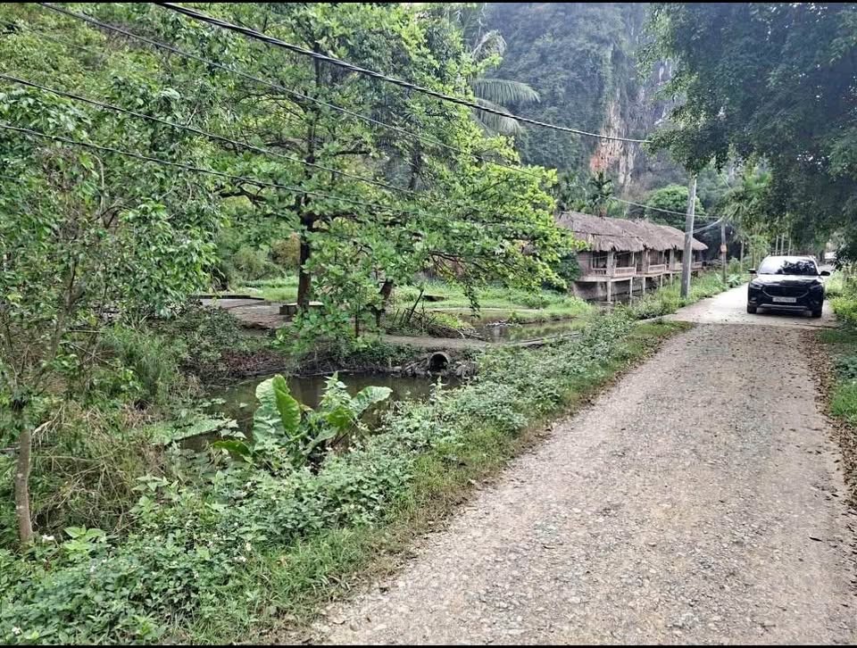 Bán 5.500m2 đất làm homestay, khu nghỉ dưỡng gần Bái Đính, Thung Ui - Ảnh 2