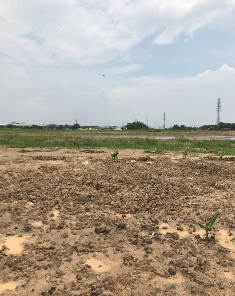 Chuyển nhượng 40.000m2 khu công nghiệp Hữu Lũng – Lạng Sơn - Ảnh 3