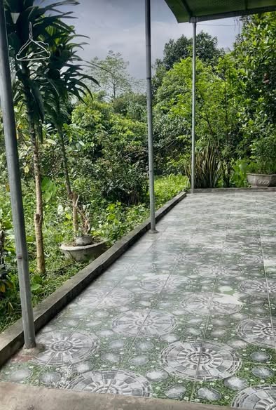 👉💥 Do cần tiền trả nợ ngân hàng e muốn bán căn nhà chính chủ tên e - Ảnh 3