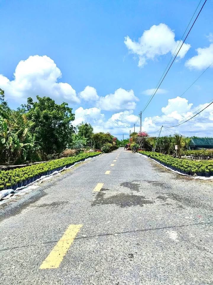 - CẦN BÁN ĐẤT TẠI PHƯỜNG SA ĐÉC – ĐỒNG THÁP - Ảnh 1