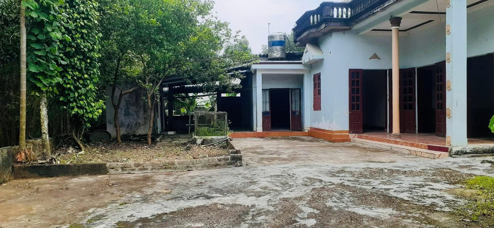 💥Hơn 400 triệu 🎯👉Phú Thọ cả nhà và đất diện tích 530m . - Ảnh 2