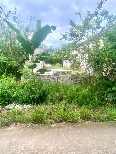 🔥Đất Nền TDP Hương Cần, phường Kim Trà (xã Hương Toàn cũ), TP Huế.
