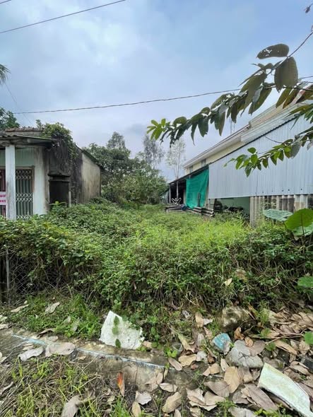 Bán đất đường Nguyễn Khoa Văn, Phú bài