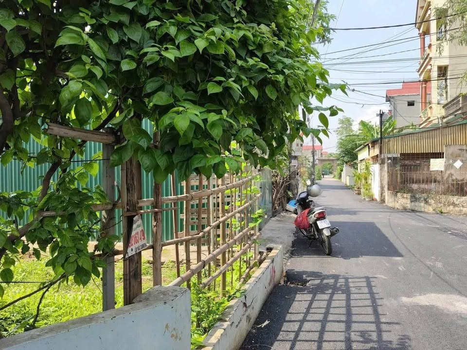 Chủ gửi bán lô đất giáp kđt TMS Phúc Yên. - Ảnh 1