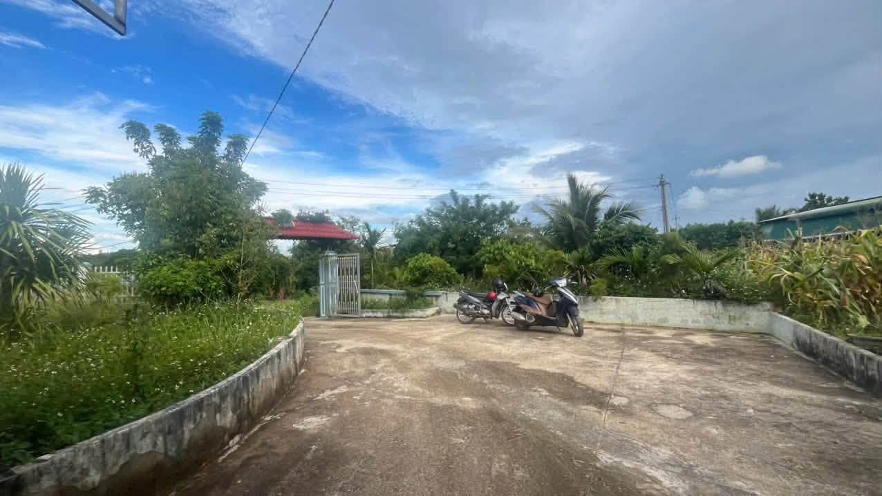 bán nhà vườn gần ql26 km62, cách khoảng 800m, chợ bình minh hơn 1km - Ảnh 1