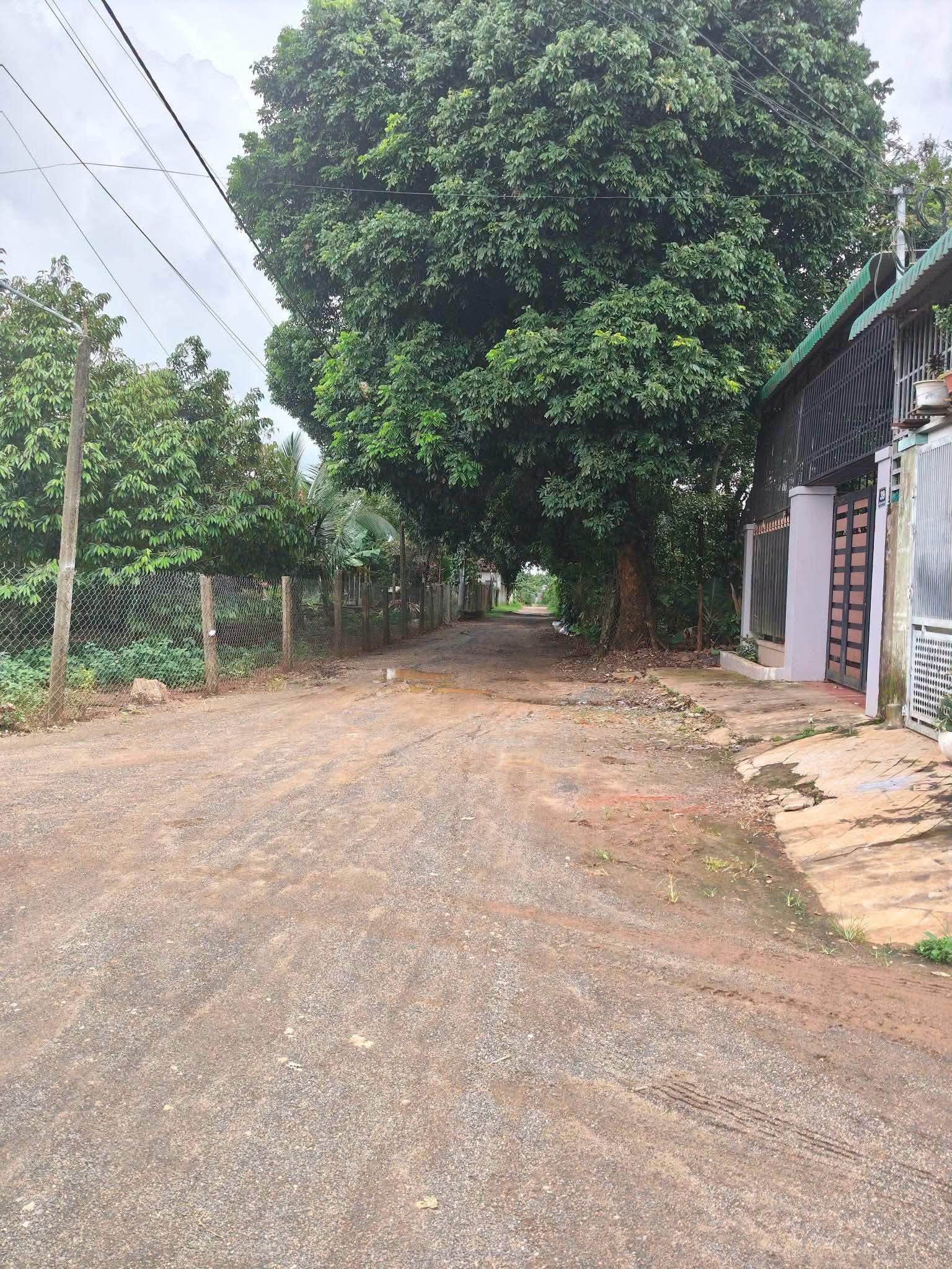 Bán nhà góc ngã 4, mặt tiền đường Lê Đại Hành - thị trấn Ea Kar - Ảnh 1