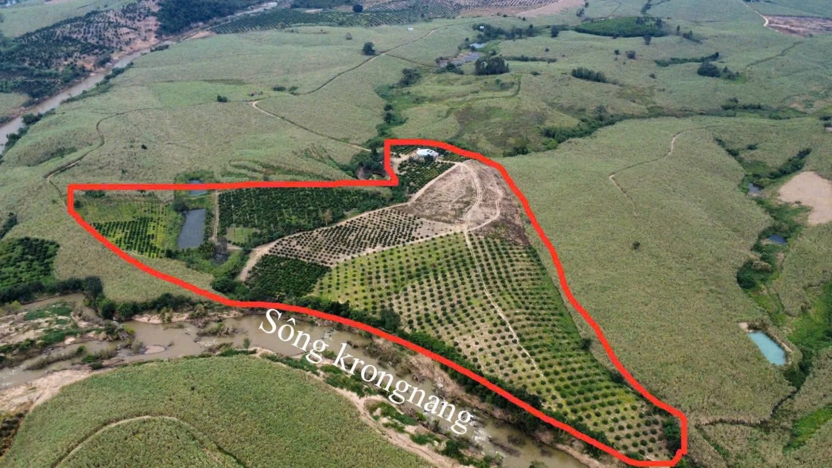10ha đất cây lâu năm  Nhà cửa đẹp - Ảnh 1
