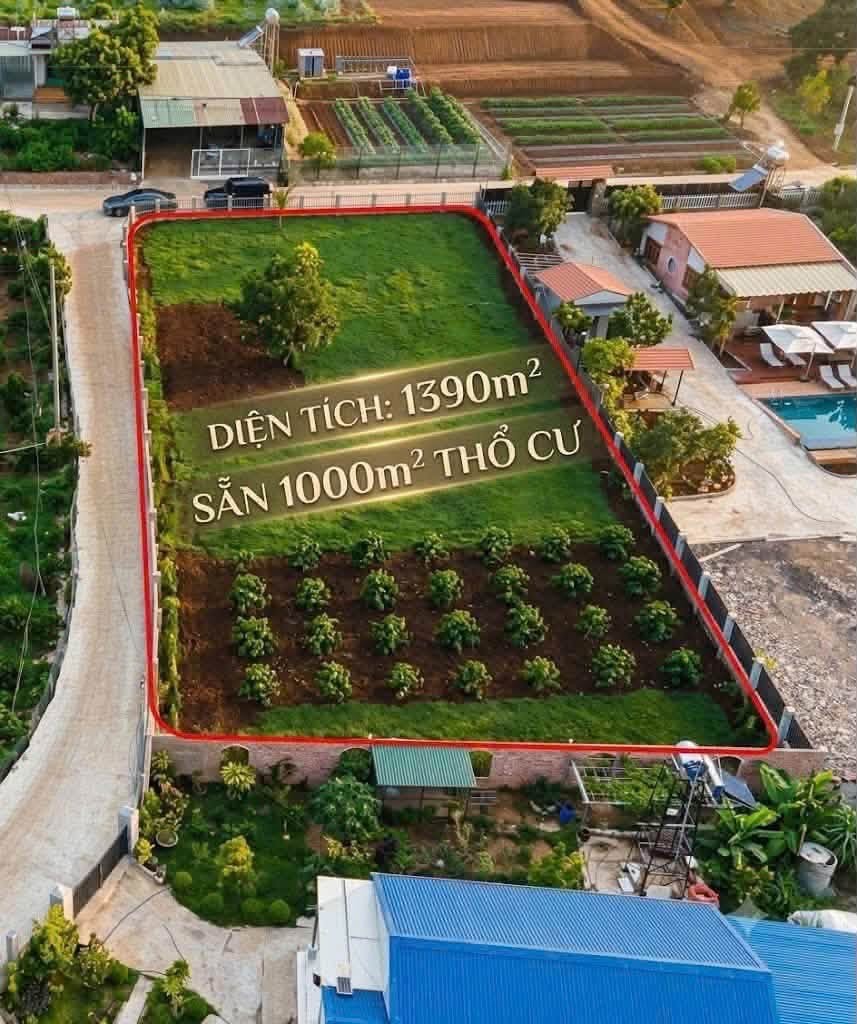 📣📣📣 GIẢM GIÁ BÁN GẤP ĐẤT RỘNG  2 MẶT TIỀN TẠI P. CAM LY, ĐÀ LẠT  1390M2 GIÁ 9 TỶ ->  7.6 TỶ - Ảnh 2