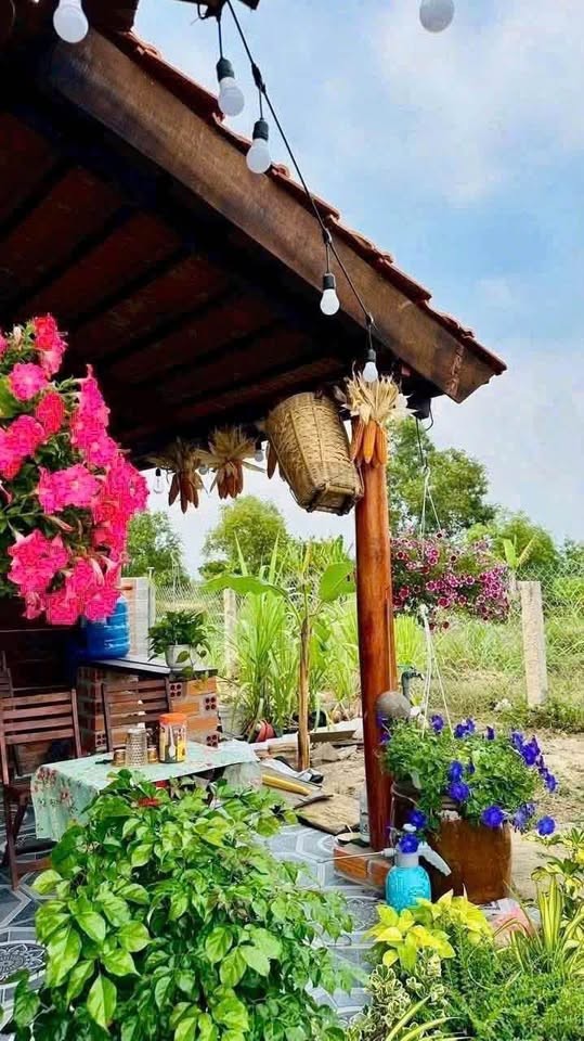 ➖Cần bán nhà vườn cực Chill tại Thuận Thành - Hàm Liêm- Lâm Đồng - Ảnh 2