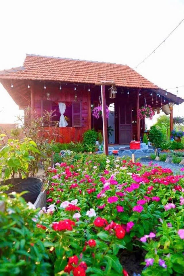 ➖Cần bán nhà vườn cực Chill tại Thuận Thành - Hàm Liêm- Lâm Đồng - Ảnh 5