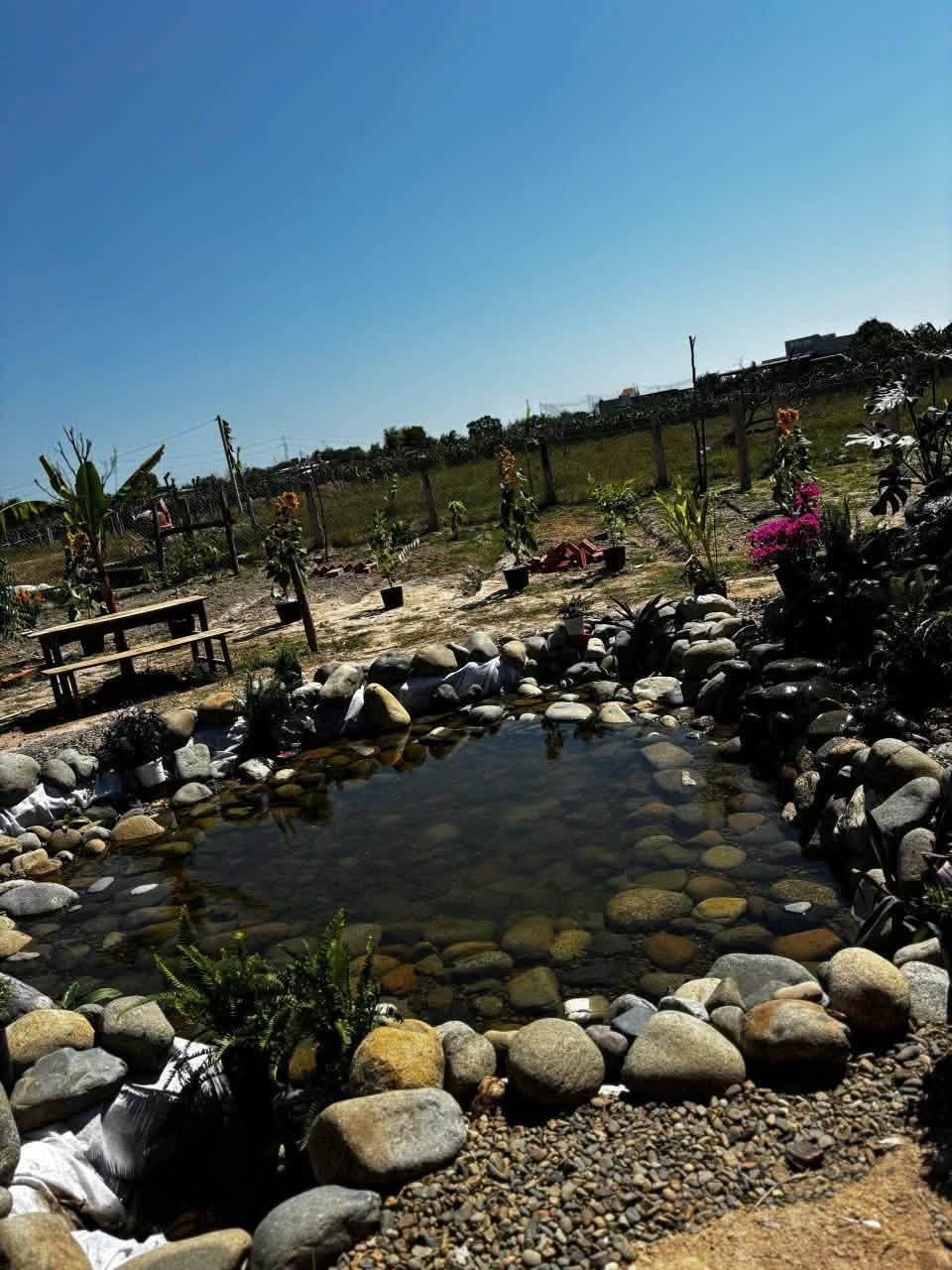 🌳 820 TRIỆU SỞ HỮU GẦN 800M² NHÀ VƯỜN TẠI HÀM LIÊM! 🏡