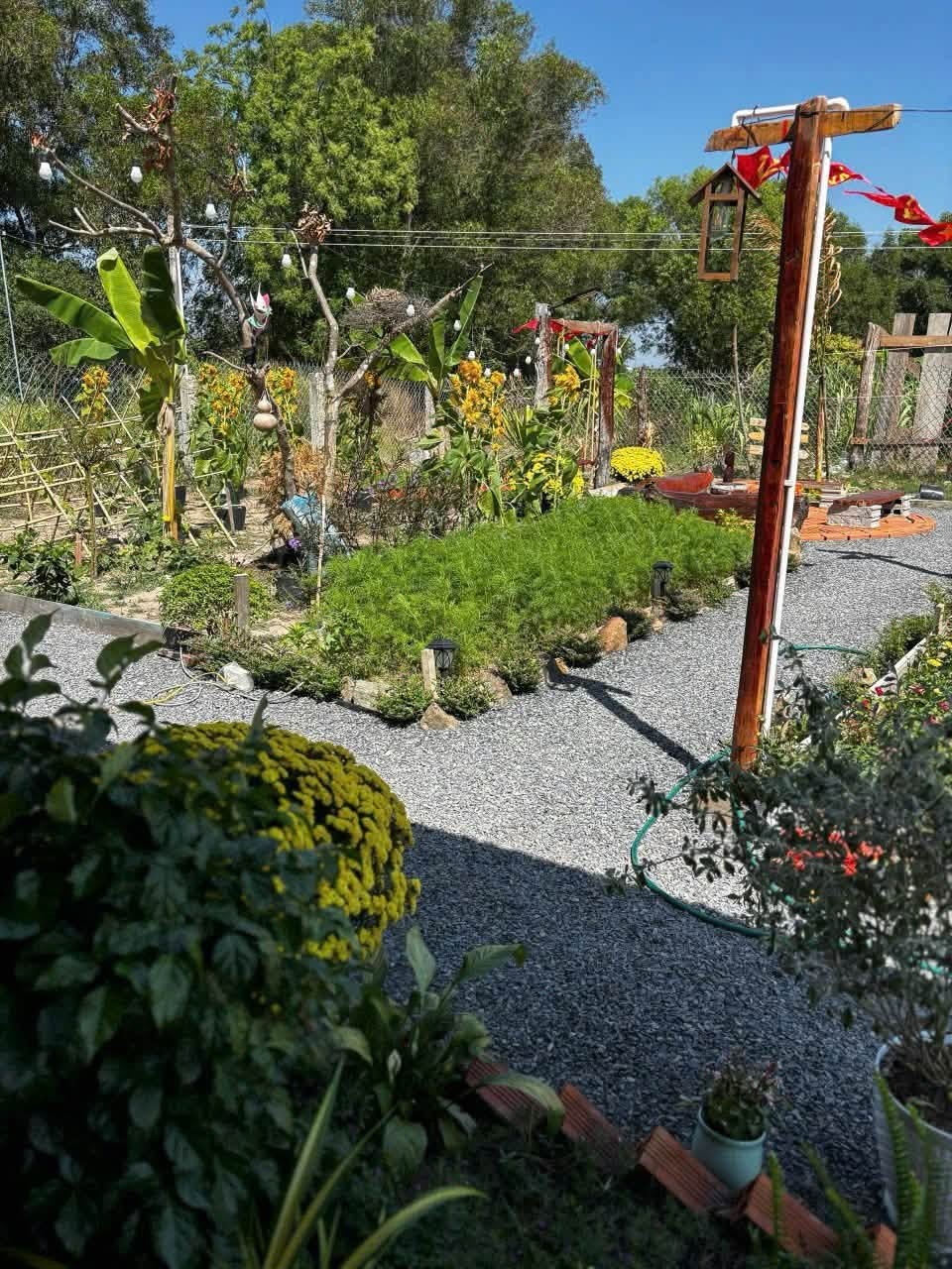 🌳 820 TRIỆU SỞ HỮU GẦN 800M² NHÀ VƯỜN TẠI HÀM LIÊM! 🏡