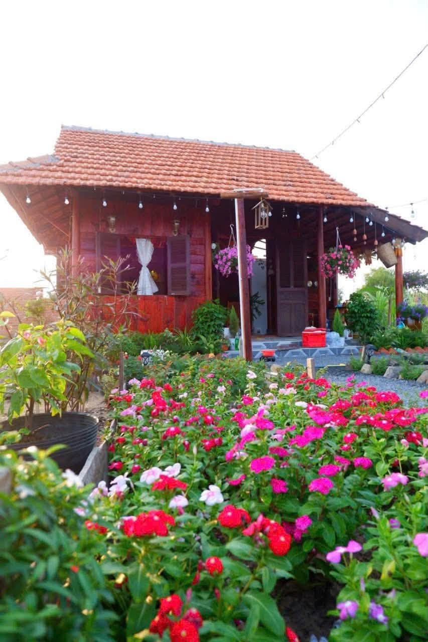 🌳 820 TRIỆU SỞ HỮU GẦN 800M² NHÀ VƯỜN TẠI HÀM LIÊM! 🏡 - Ảnh 6