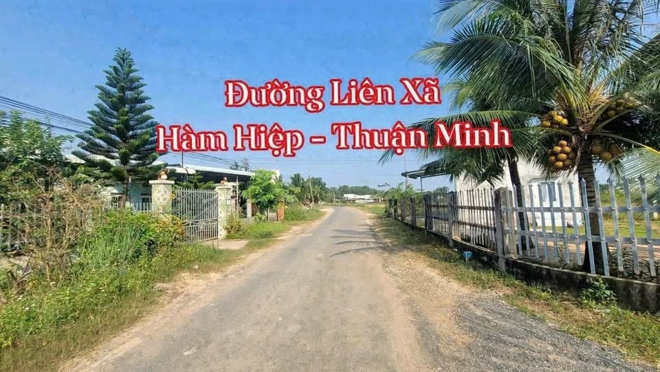 💥 Bán Lô Đất Giá Tốt - Mặt Tiền Đường Nhựa Hàm Liêm - Hàm Thuận Bắc cũ . Xã Hàm Liêm - Tỉnh Lâm Đồng mới. - Ảnh 1