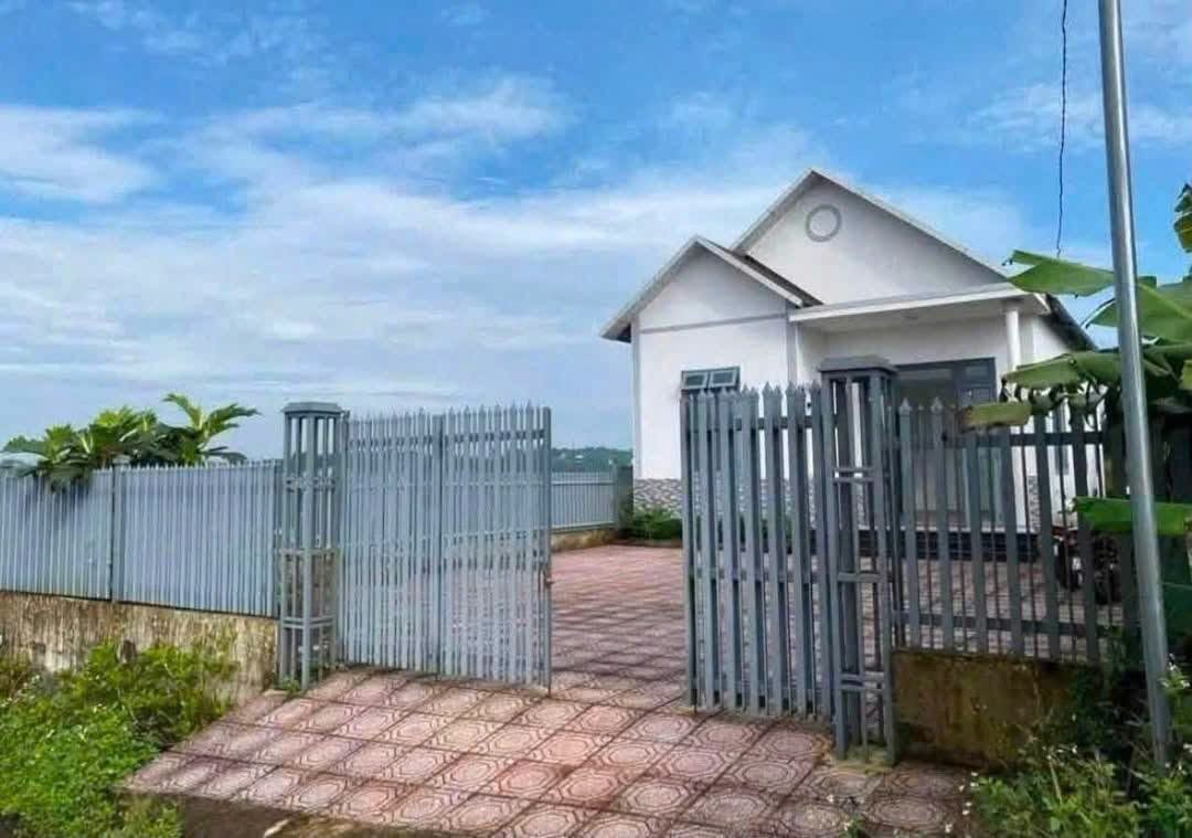 BÁN NHÀ SÂN VƯỜN RỘNG 500M² — HẺM 02 TẢN ĐÀ, P.1, BẢO LỘC - Ảnh 3