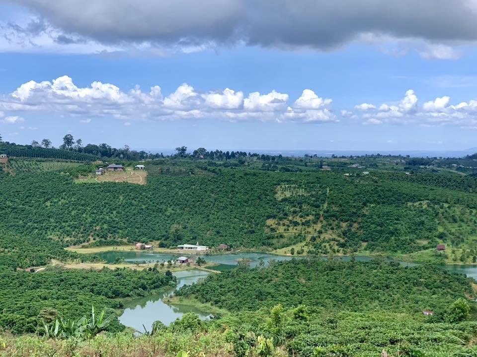 🔥 CHỈ 500 TRIỆU SỞ HỮU NGAY MẢNH VƯỜN NGHỈ DƯỠNG VIEW SIÊU ĐẸP - Ảnh 3
