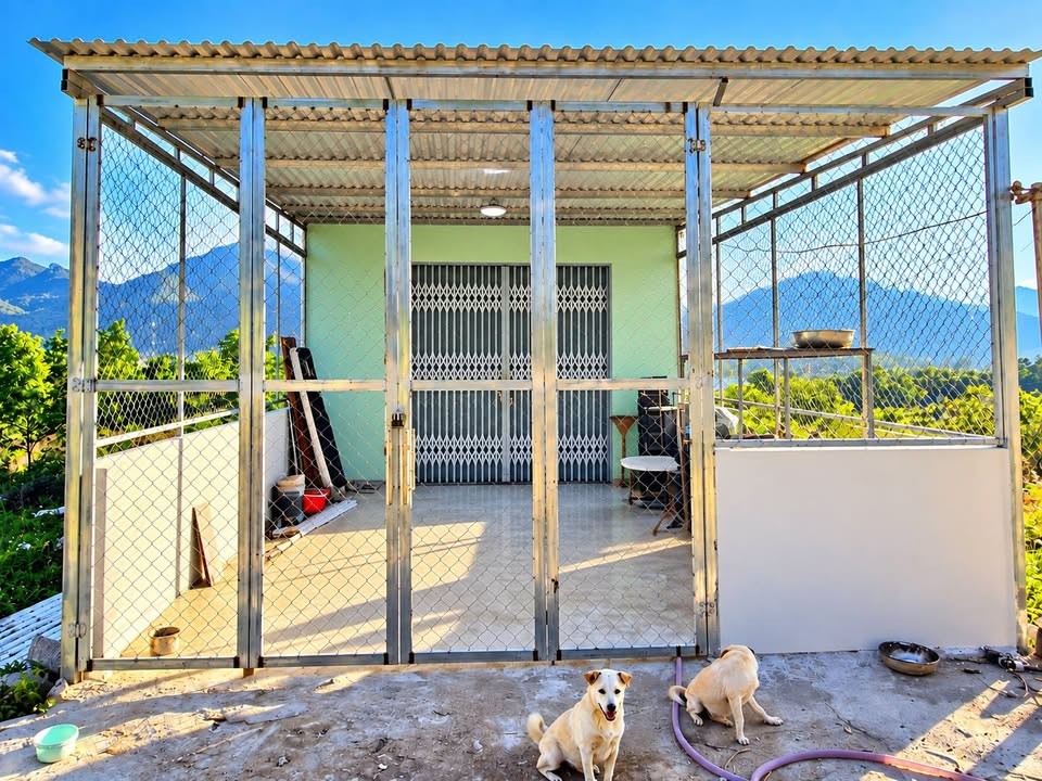 🏡 KẸT TIỀN BÁN NHANH NHÀ CẤP 4 PHƯỚC ĐỒNG – GIÁ 680 TRIỆU - Ảnh 3