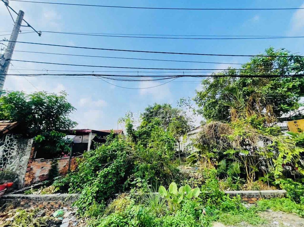 CHỦ NGỘP CẦN BÁN NHANH ĐẤT 408,5M' GẦN CHỢ VIỆT KIỀU, CỦ CHI - Ảnh 4