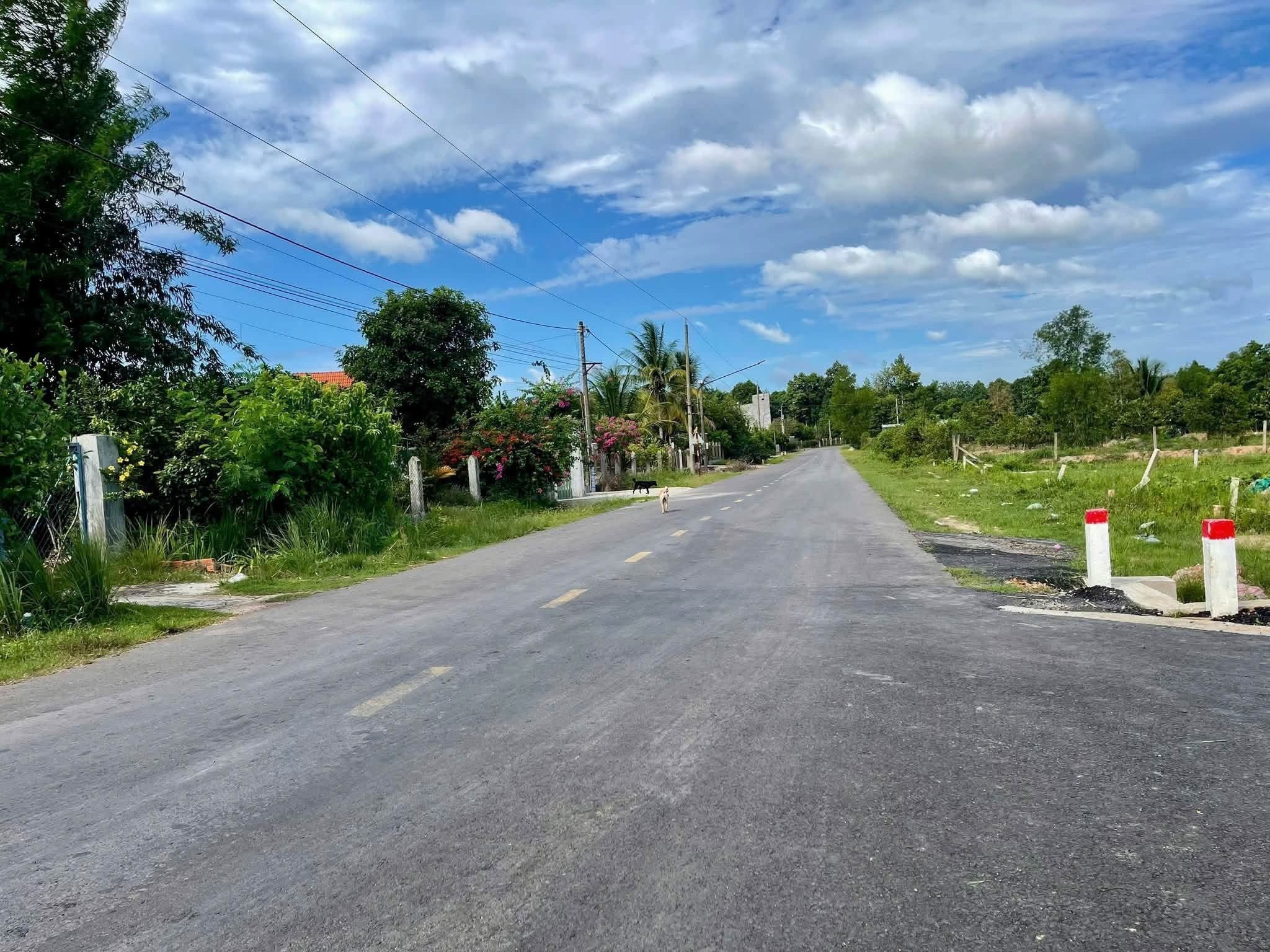 BÁN GẤP 3.000M2 GIÁ 195 TRIỆU, ĐẤT MT GẦN CHỢ, SỔ HỒNG RIÊNG - Ảnh 5
