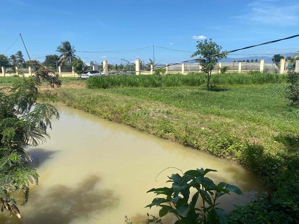 đất phước thiện siêu đẹp siêu rẻ - Ảnh 9