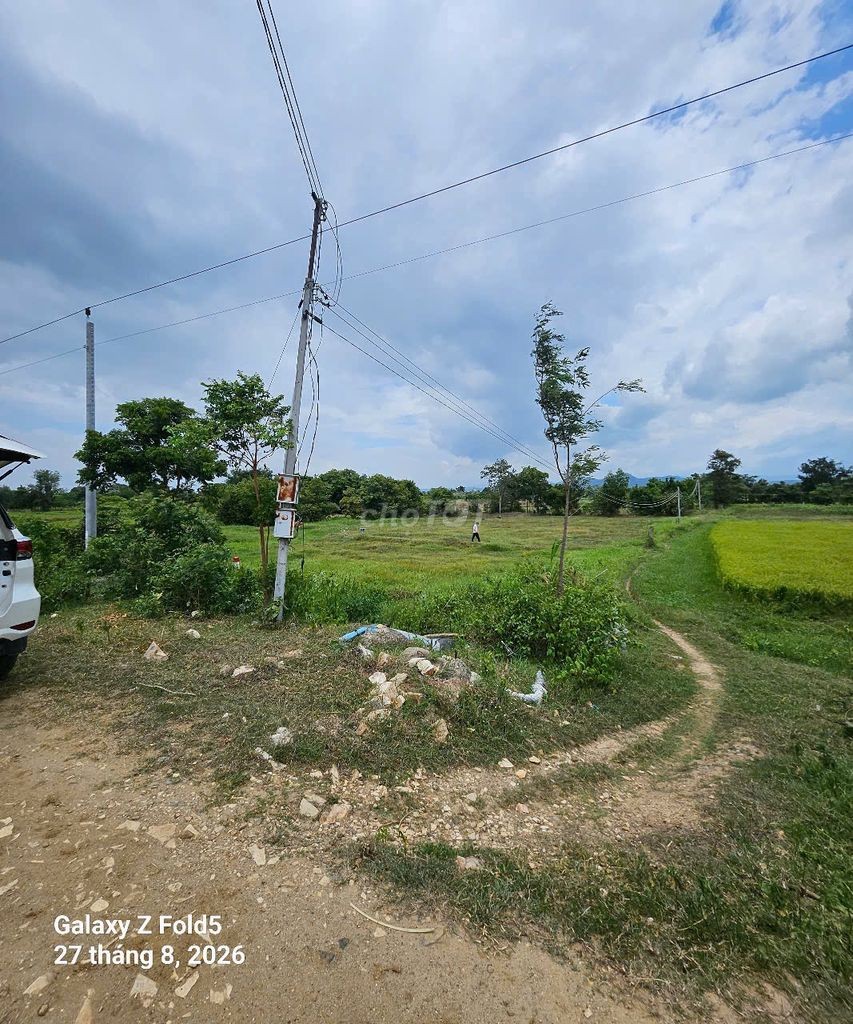 BÁN ĐẤT XÂY DỰNG TRANG TRẠI, HOMESTAY- BÌNH THUẬN 🔥 Giá siêu HOT: 7 tỷ - Ảnh 2