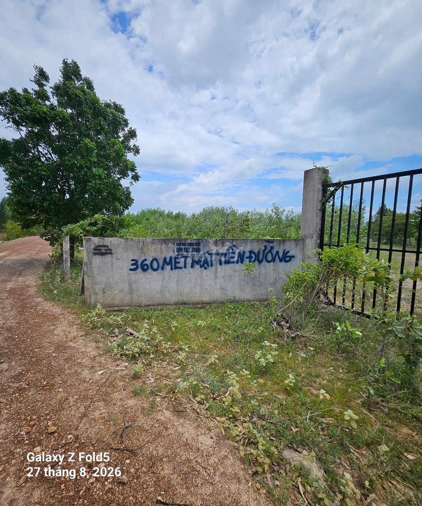 BÁN ĐẤT XÂY DỰNG TRANG TRẠI, HOMESTAY- BÌNH THUẬN 🔥 Giá siêu HOT: 7 tỷ - Ảnh 3