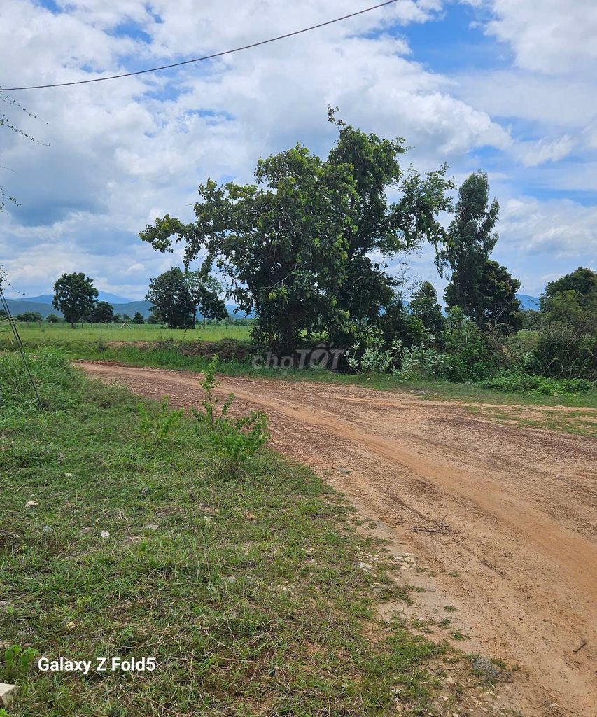 BÁN ĐẤT XÂY DỰNG TRANG TRẠI, HOMESTAY- BÌNH THUẬN 🔥 Giá siêu HOT: 7 tỷ - Ảnh 9