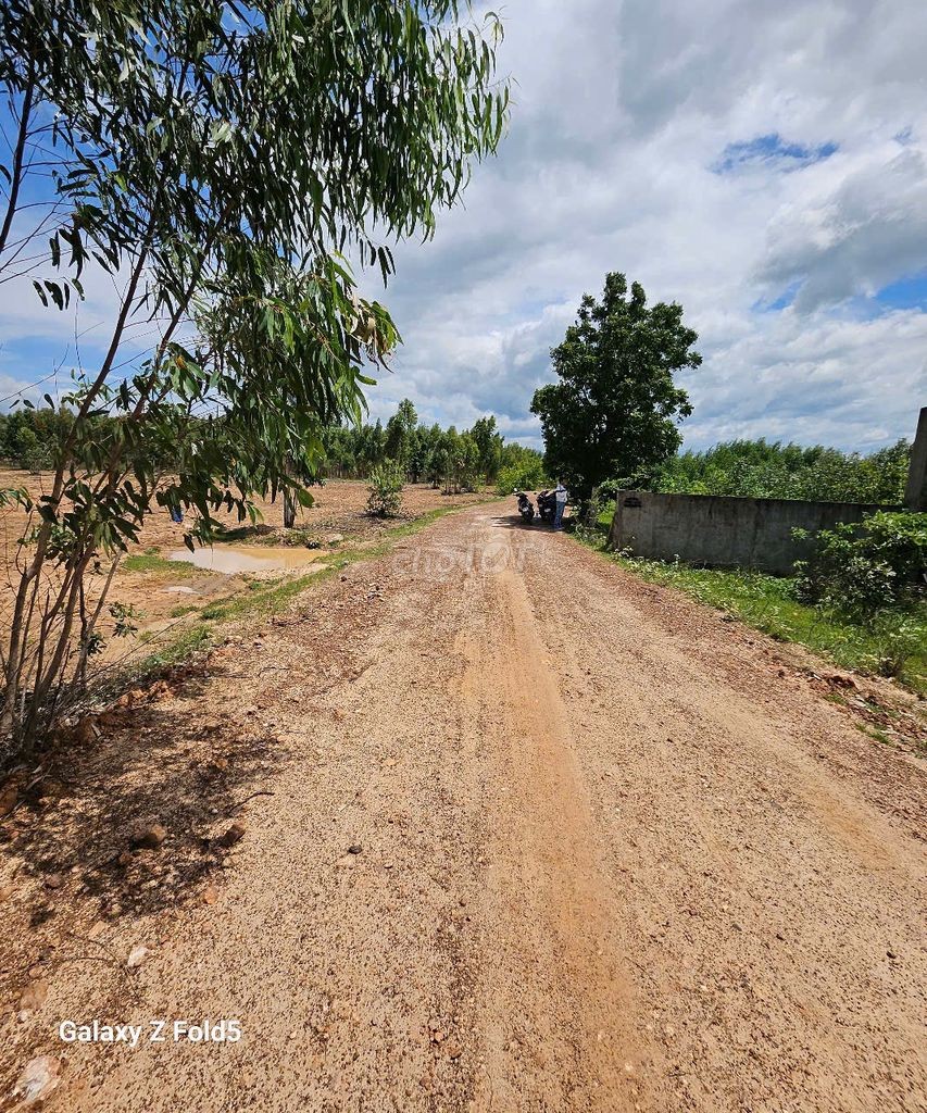BÁN ĐẤT XÂY DỰNG TRANG TRẠI, HOMESTAY- BÌNH THUẬN 🔥 Giá siêu HOT: 7 tỷ - Ảnh 11