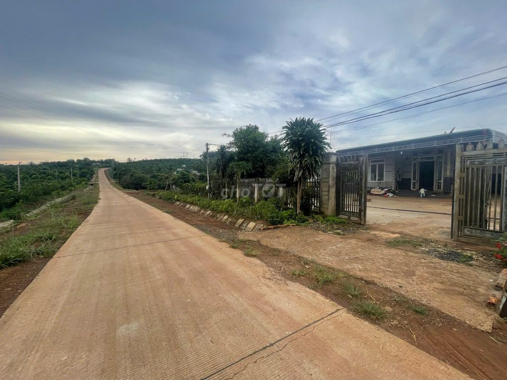 Chính chủ bán nhà vườn 1.600m² mặt đường bê tông tại Đắk Mil, có 100m² thổ cư