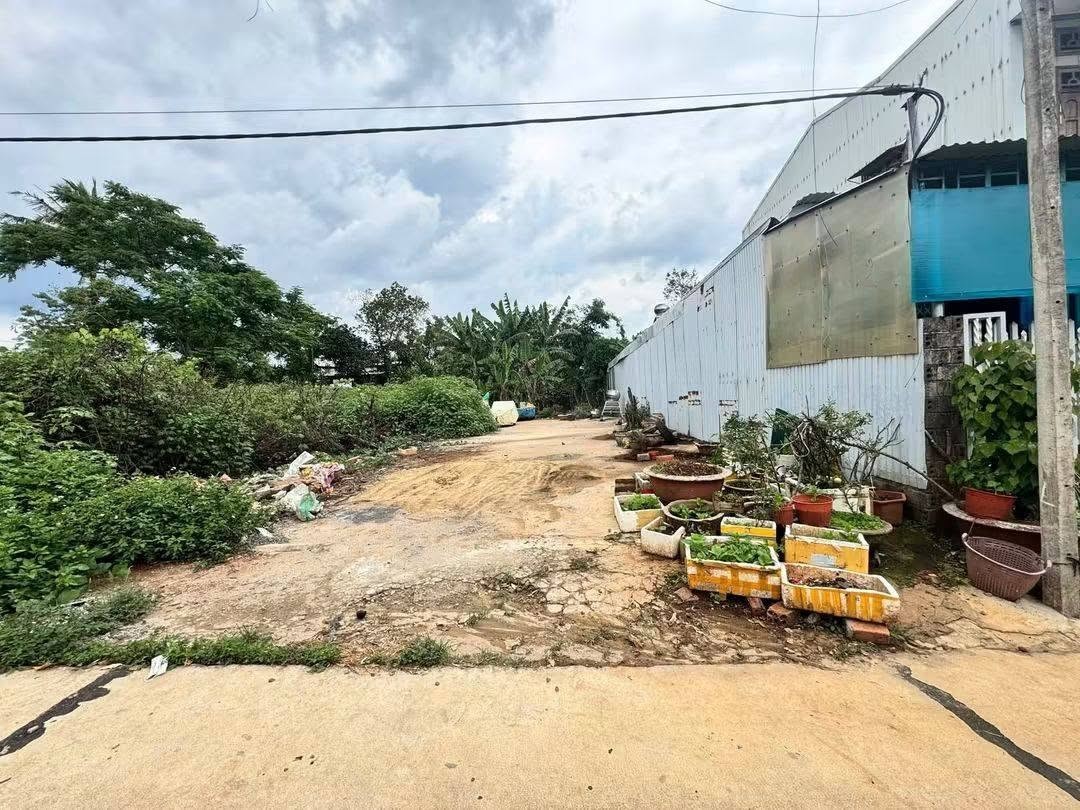 💯 Đất hẻm chính 542 NGUYỄN VIẾT XUÂN thông NGUYỄN TRUNG TRỰC - Ảnh 1