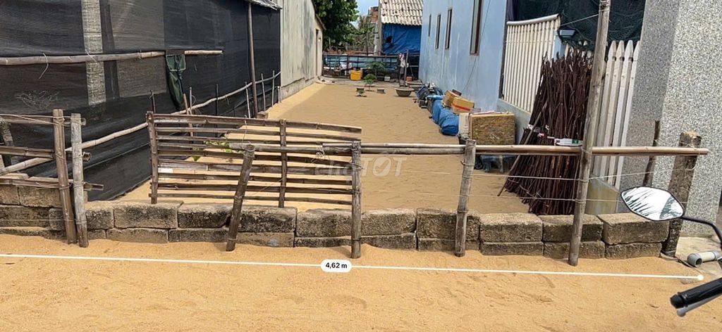CHÍNH CHỦ BÁN ĐẤT THỔ CƯ SÁT BIỂN HOÀI NHƠN ĐÔNG CHỈ 50M ĐI BỘ RA BIỂN - Ảnh 5