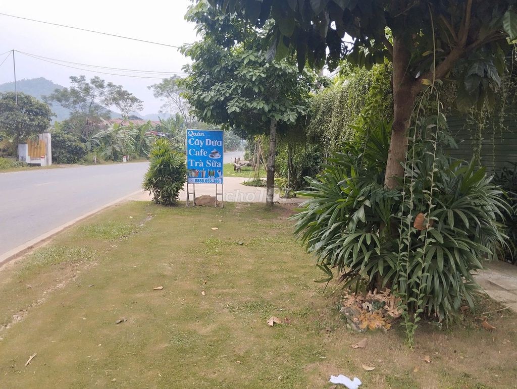 Đất thổ cư đã có sổ đỏ, mặt tiền quốc lộ 217 Huyện Bá Thước-Thanh Hóa