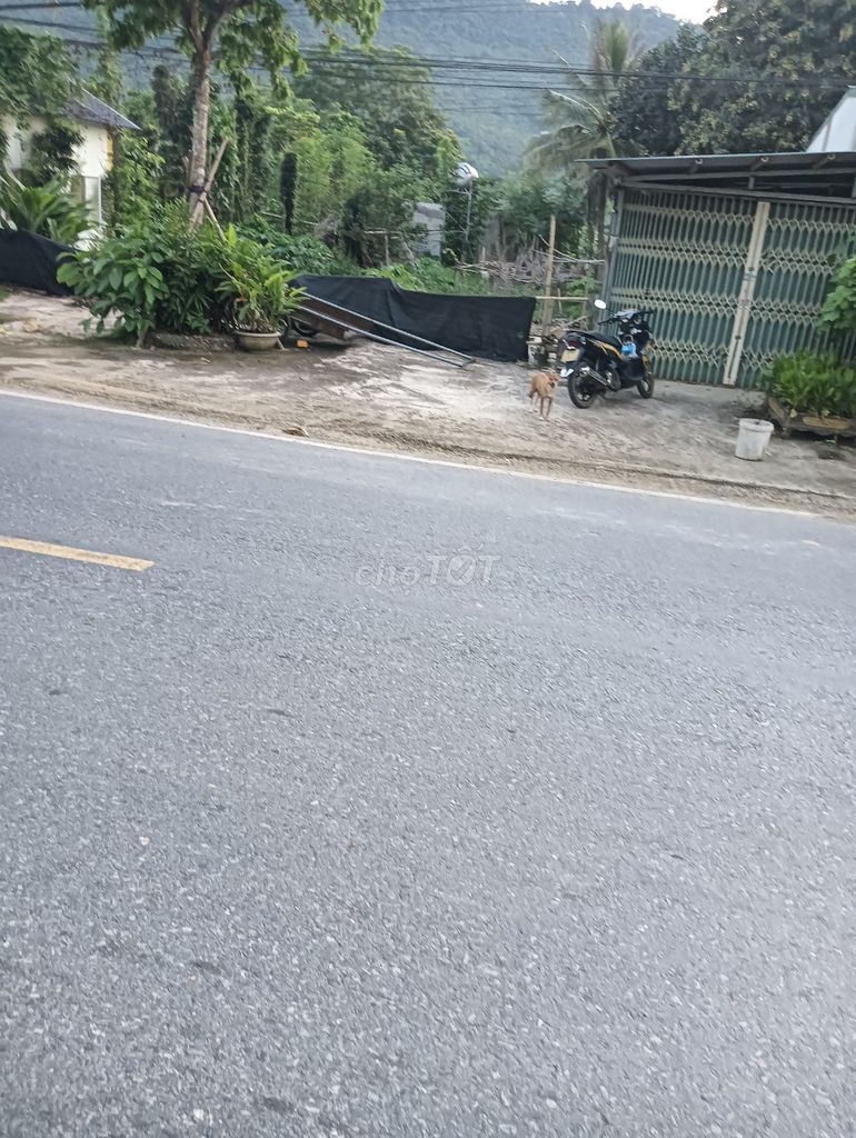 Đất thổ cư đã có sổ đỏ, mặt tiền quốc lộ 217 Huyện Bá Thước-Thanh Hóa