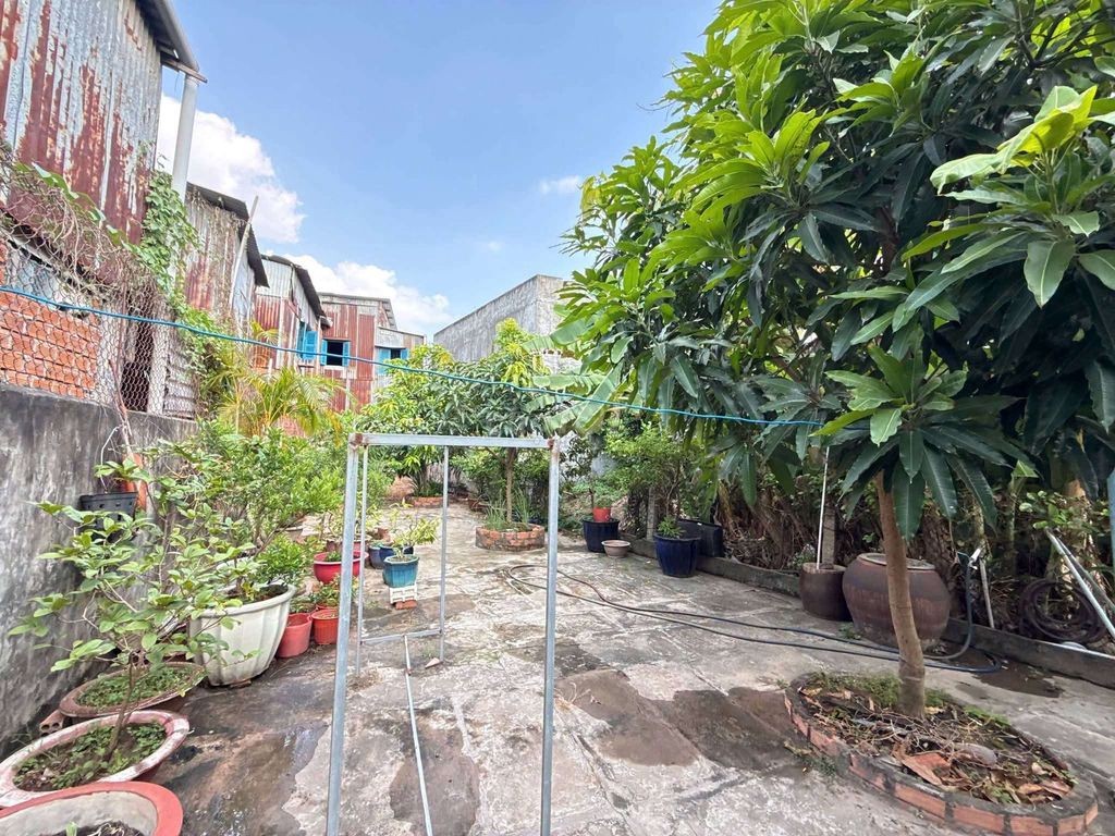 605m² ĐẤT TRUNG TÂM LONG XUYÊN - NGANG 20m - GIÁ MỀM - Ảnh 9