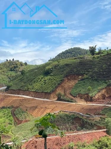 🌿 HÀNG HIẾM MỘC CHÂU – QUỸ ĐẤT DIỆN TÍCH LỚN, ĐƯỜNG LIÊN XÃ