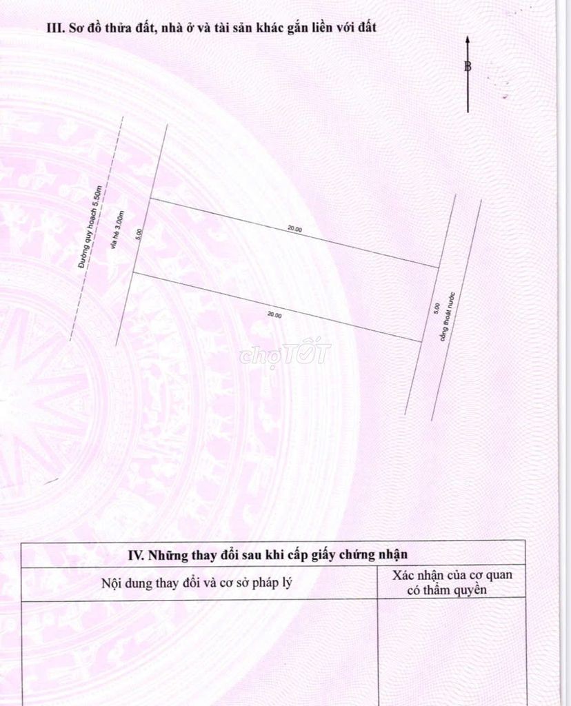 💥Bán gấp Đất mặt tiền gần ngã 3 Âu Cơ và Lạc Long Quân, 100m2 sạch đẹp - Ảnh 5