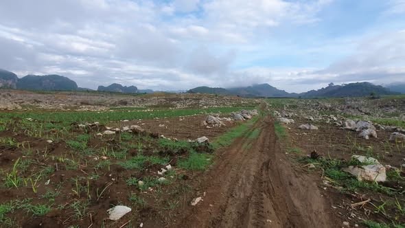 Bán 1,1 ha đất bằng phẳng rộng tại Mường Bằng Mai Sơn - Ảnh 1