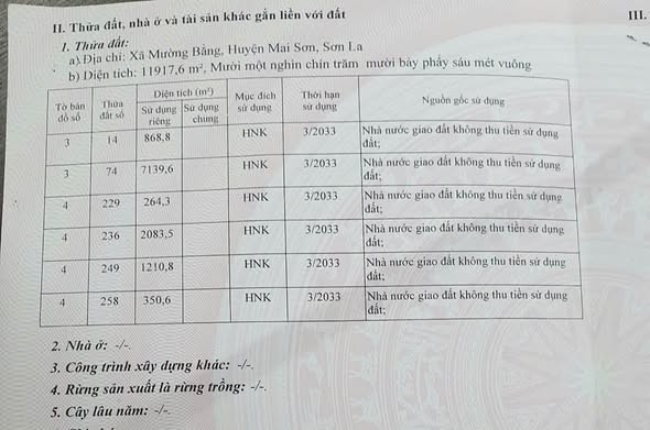 Bán 1,1 ha đất bằng phẳng rộng tại Mường Bằng Mai Sơn - Ảnh 2