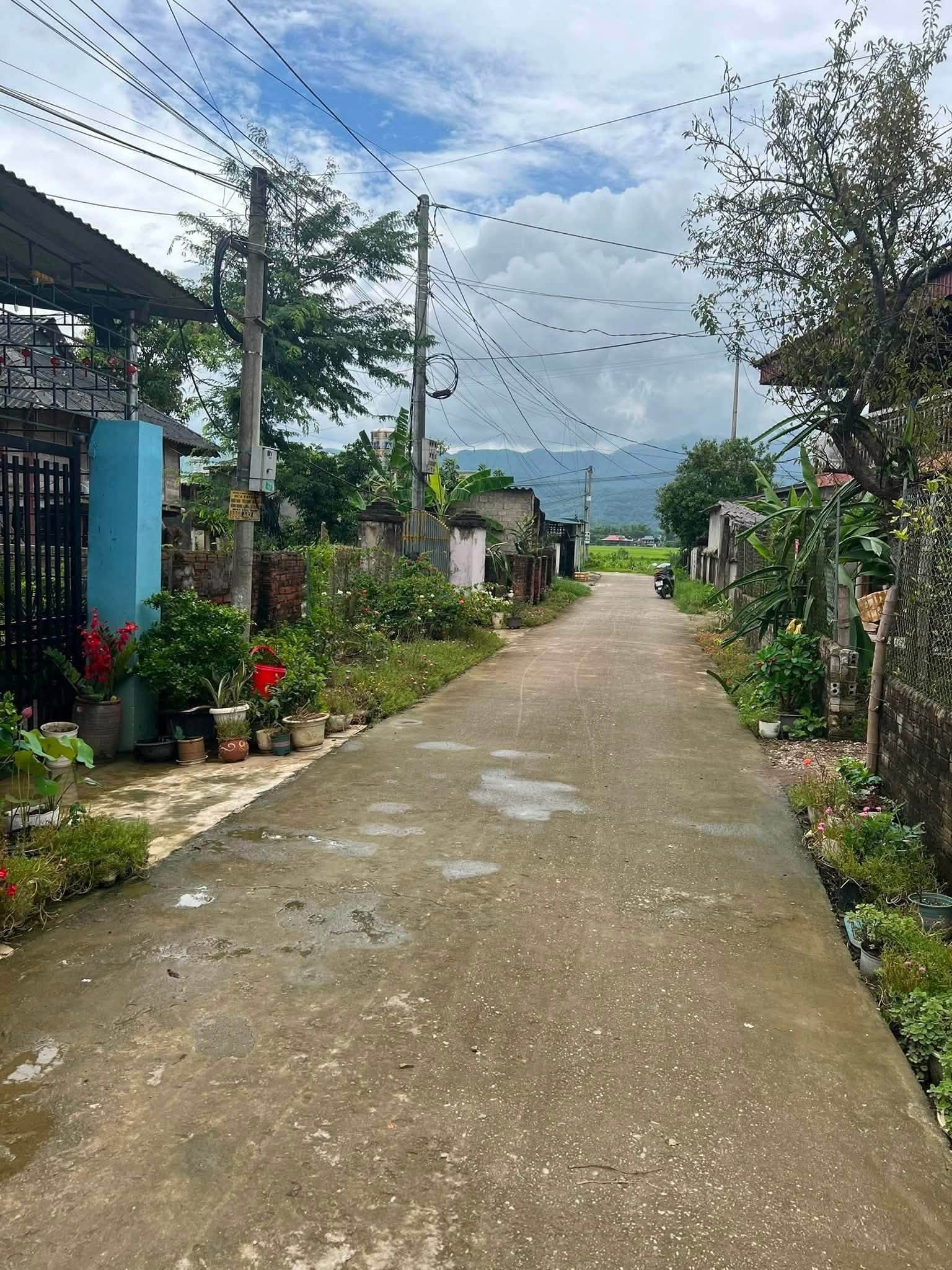 🏡 BÁN ĐẤT TẶNG NHÀ SÀN – BẢN NOONG NHAI 1, XÃ THANH XƯƠNG CŨ - Ảnh 2